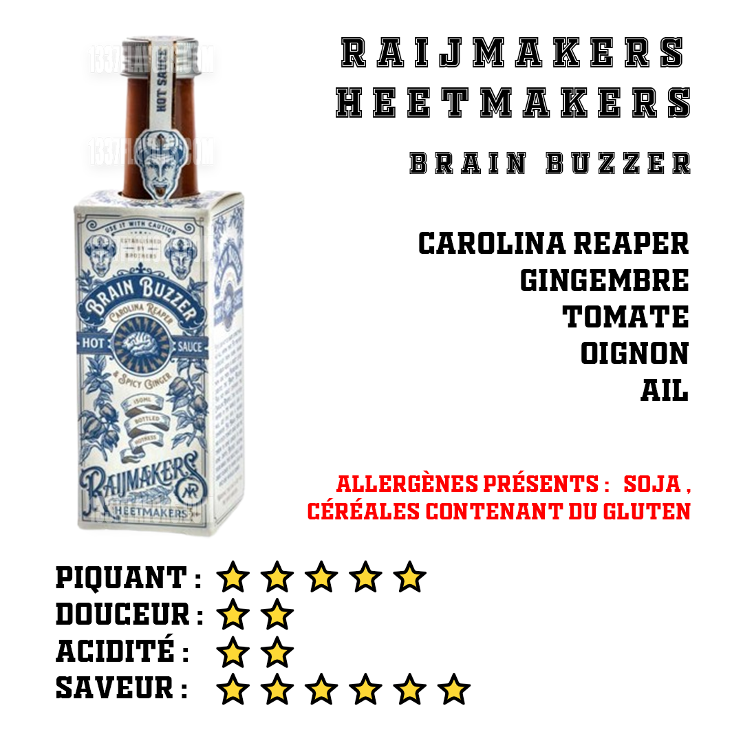 Raijmakers Heetmakers - Brain Buzzer